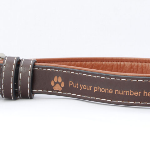 leather-dog-collar.jpg